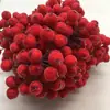 Fornecimento de frutas vermelhas artificiais de espuma para Natal, frutas ricas, galhos secos, guirlanda de rattan, materiais para fazer caixa de doces