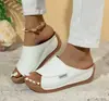 Nuevas Chanclas de Cuña de Verano Moda Europea y Americana Sandalias y Chanclas de Boca de Pez Para Usar Afuera Ligeras de Playa para Mujer en stock Sandalias y Chanclas