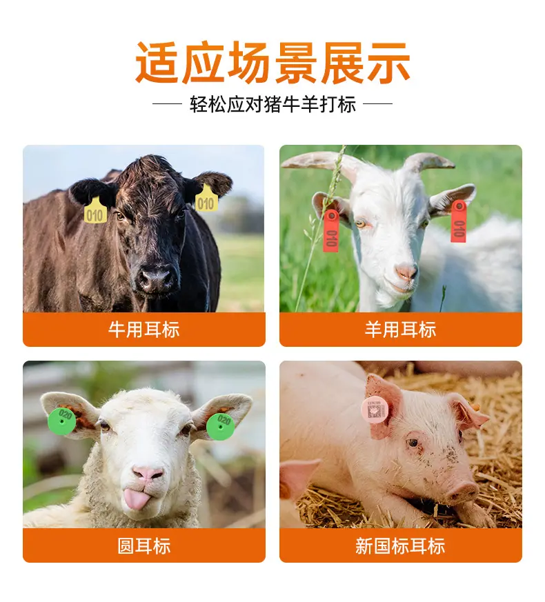 详情123_03.jpg