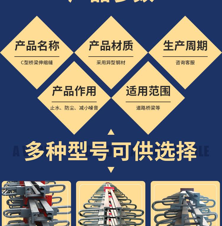 C型伸缩缝_03.jpg