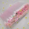 Pincel de mascara de tubo transparente de dibujos animados mezcla de colores mini de dibujos animados lindo independiente con tubo pincel de mascara de pestañas peine pequeño en stock
