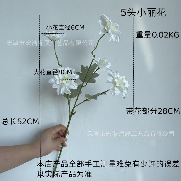 尺寸图
