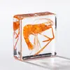A Fábrica de Artesanato Zhongkun vende espécimes de insetos genuínos como itens decorativos, embutidos em resina de alta transparência, como brinquedos científicos educativos para crianças.