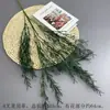 Flores Artificiais Coloridas de Dopamina para Montagem de Cena de Casamento, Arranjos de Flores de Seda, Materiais Florais, Flores para Decoração de Painel de Casamento