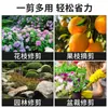 Tijeras para Cosecha de Frutas Transfronterizas, Tijeras de Podar de Jardín, Tijeras Finas para Frutas y Uvas de Jardinería, Tijeras Especiales para Cosecha de Frutas y Verduras para Podar Ramas