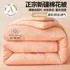 Colcha de Algodón de Xinjiang Grado A para Maternidad e Infancia Colcha de Otoño e Invierno Engrosada Cálida Colcha de Algodón Puro Núcleo de Colcha para Dormitorio de Estudiantes