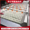 Máquina de Limpeza Comercial com Rolos Paralelos, Máquina de Limpeza para Remoção de Lama de Ostras, Caracóis e Vieiras, Máquina de Limpeza de Abalones