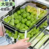 Caixa de armazenamento para geladeira no atacado, caixa selada de grande capacidade de grau alimentício para conservação de frescor, caixa de armazenamento de frutas para freezer