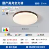 [Transfronteiriço] Luminárias: Pacote Simples para Casa Inteira, Conjunto de Luminária de Teto para Sala de Estar, Estilo Antigo, Novo Proteção para os Olhos, Luz Principal para Hall, Estilo Europeu