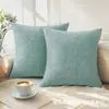 Funda de cojín para sofá verde agua suave transfronteriza Felpa corta teñida de color sólido suave adecuada para sofá sala de estar