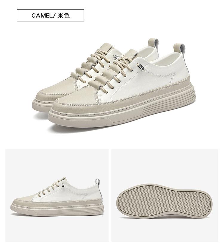 01-2_23.jpg?x-oss-process=image/format,png