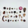 Material de Pacote para Criação de Ambiente de Jardim de Infância Fruta Natural Bolota Pinha Adereços de Fotografia Decoração Artesanal DIY Fruta Casca de Fruta
