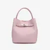 Bolso de Mano de Moda Nuevo Verano 2026 para Mujer Pequeño de Nicho con Sentido de Alta Gama Gran Capacidad Casual para Hombro Cruzado Bolso Cubo