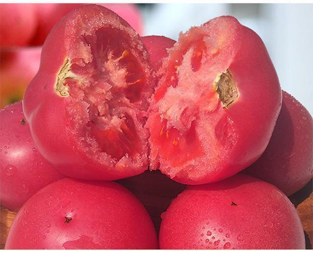 ad158a2c-13bb-4cc6-b888-e554a2989a5e.jpe