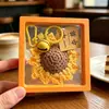 Colgante Llavero Girasol Producto Terminado, Bolsa de Ganchillo de Hilo Adorno de Fruta, Regalo para Estudiante con Significado