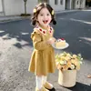 2026 Nuevo Estilo Otoño Vestido de Encaje con Hongo Tejido para Niñas Vestido para el Primer Cumpleaños del Bebé Cumpleaños Agarra-la-Semana Ropa Infantil