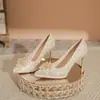 Zapatos de Boda de Tacón de Aguja con Pedrería Color Champán para Mujer con Plataforma Puntiaguda Tacones Altos Zapatos para Novia Dama de Honor Zapatos de Boca Baja con Flores