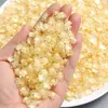 Accesorios de resina de tortuga de tamaño pequeño, luminosos y coloridos, accesorios para decoración de horquillas de uñas hechas a mano con pegamento crema
