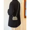 Bolsa Pequena Tecida Brilhante de Prata Estilo Coreano para Mulheres, Bolsa Transversal de Verão de Alto Padrão com Design de Nicho, Bolsa Versátil com Corrente