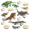Conjunto de 16 Peças de Figuras do Ciclo de Vida de Lagartos PVC Modelos de Animais Inclui Camaleão Dragão-Barbudos Iguana e Lagarto-Monitor Estágios Brinquedos Educacionais para