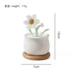 Adornos de Vidrio Zibo Oficina Flor de Narciso Artificial Maceta Decoración de Escritorio Flor Eterna Exhibición de Flores Falsas