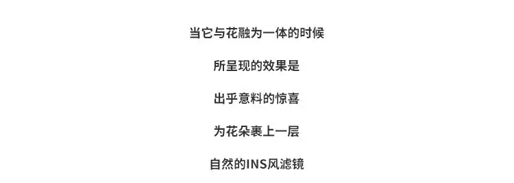 花手提袋