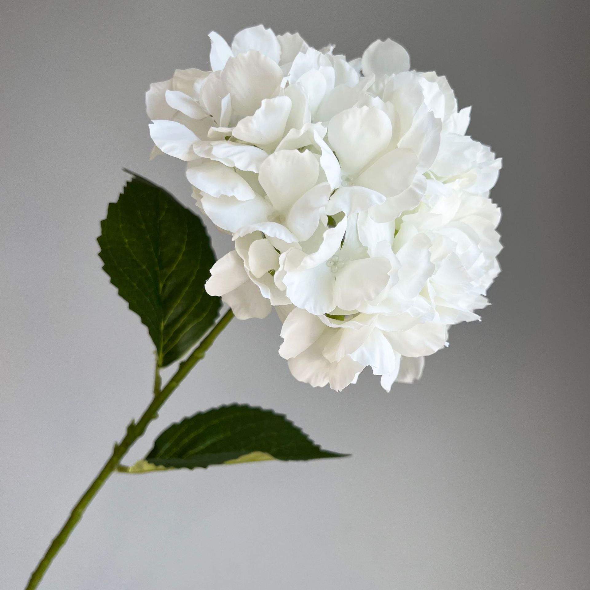 微信图片_20221206101415