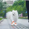 Capa de perna descartável para cachorro para uso externo anti-sujeira para cachorro pequeno à prova d'água para dia chuvoso de animal de estimação tipo urso de pelúcia calçados