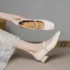 Zapatos Mary Jane cuadrados de estilo francés para mujer, nuevo diseño vintage otoño 2026 con correa de una sola hebilla, corte bajo, tacón grueso, zapatos de abuela