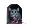 Decoración de Cristales de Autos Nuevos Transfronteriza Pegatinas de Animales de Dibujos Animados Accesorios para el Hogar Proyección de Gato en la Ventana Pegatinas Creativas