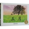 Bebê Bicho-da-Seda Mágico: Livro Ilustrado Chinês e Inglês Wang Weiqing Editora Yanshan de Pequim