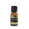Aceite Esencial de Aromaterapia Soluble en Agua Máquina de Aromaterapia para Coche Humidificador Líquido Especial de Recarga Difusor Ambientador Fragancia de Larga Duración