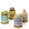 Dongheng Maceta de Animales Estilo Japonés y Coreano Maceta Mini Pulgar Adornos Set de Búho Cambio de Horno Maceta para Suculentas con Base