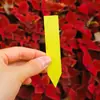 Etiqueta Engrosada con Forma Única Etiqueta Carnosa Etiqueta de Correa Verde de Plástico para Jardín Plato de Plántulas para Jardín