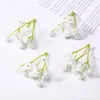 Flores Artificiales de Aliento de Bebé Suaves al Tacto Estilo Nuevo Materiales DIY para Decoraciones de Boda y Decoración del Hogar, Venta al por Mayor de Fabricantes Transfronterizos