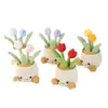 Planta Suculenta Tulipán de Venta Caliente Transfronteriza Maceta Pequeños Adornos para Escritorio de Oficina Regalos de Tejido de Lana para Maestros y Mejores Amigos