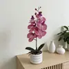 Gran Adorno de Bonsái de Orquídea Phalaenopsis de 6 Flores Decoración Artificial de Flores para el Hogar Accesorio para Fotografía de Bodas Planta Artificial de Flores