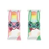 Bolsas de Empaque de Helado Lindas de Dibujos Animados Estilo Ins Inglés Bolsas para Paletas de Hielo Desechables de Grado Alimenticio Bolsas Selladoras de Helado Venta al por Mayor