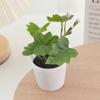 Set de Mini Plantas Verdes Simuladas, Flor Falsa Mesa de Comedor, Exhibición de Ventana, Adornos Decorativos, Flor Simulada Espalda de Tortuga