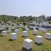 Bancos de Boda, Bancos Cuadrados para Bodas al Aire Libre, Bancos para Pan, Bancos para Brindis de Exposiciones y Exhibiciones de Autos