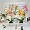 Cuatro Película Impresa Orquídea Rosquilla Bonsái Decoración de Escritorio de Oficina Flor Artificial Arreglo en Maceta Accesorios para Fotos