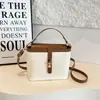 Moda Otoño 2026 Nuevo Bolso Cubo Clásico Elegante para Mujer Color Sólido Diseño de Textura de Hombro Único Bolso Cruzado para Mujer