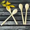 Cuchara de Bambú, Cuchara de Madera, Cuchara para Miel sin Pintar, Cuchara Sopera de Mango Largo, Cuchara de Regalo, Madera de Bambú Real, Venta al por Mayor por Fabricante, Estilo Japonés