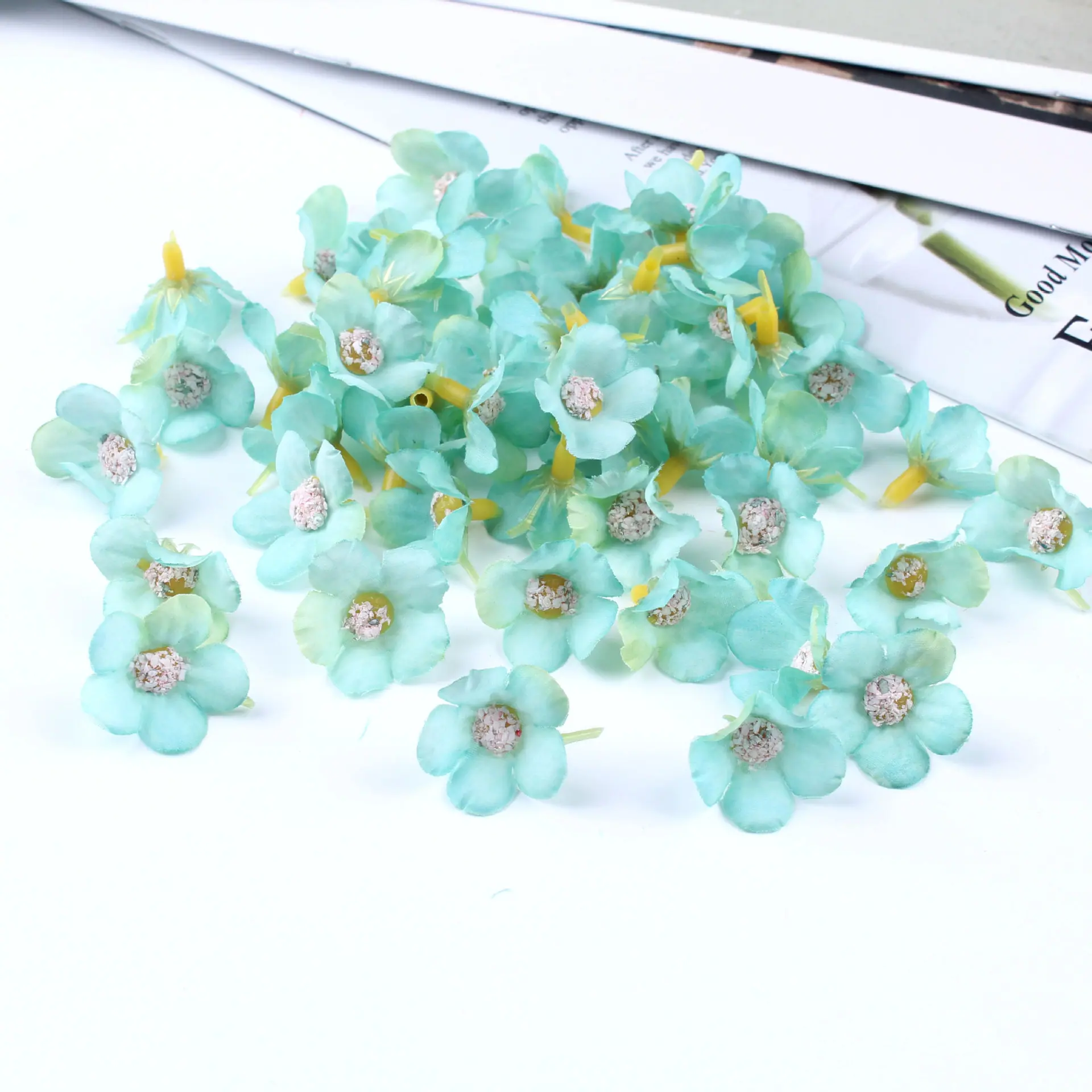 迷你小菊花24