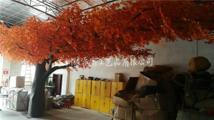 枫树红枫树绿枫154.jpg
