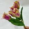 Simulação 5 tulipas simulação buquê sala de estar mesa arranjo de flores decoração flor artificial decoração fábrica atacado
