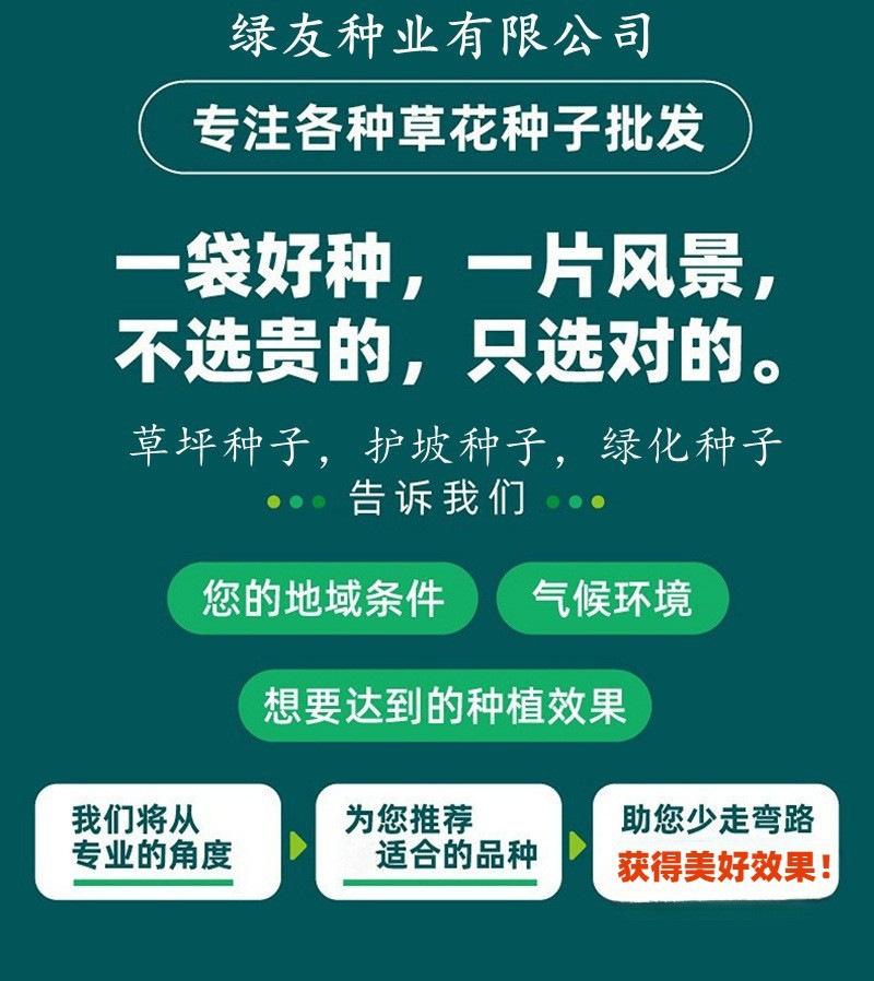绿友种业.png