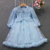 Vestido Elsa infantil para outono e inverno, Vestido princesa Elsa de Frozen, Modelo novo da Elsa, Vestido de manga longa da Elsa