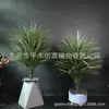 Hierro Sangre de Dragón de Alta Imitación Nórdico Madera Milenaria Bambú Árbol de Dragón Árbol de Hierro Dragón Planta de Simulación Sala de Estar Hotel Planta
