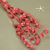 Flor de Fantasía Flor Eterna Carrillón de Viento Fruta 80G/Paquete Materiales para Manualidades Flores Secas Cubierta de Vidrio Ramo de Flores Reales Flores Frescas Cumpleaños Boda